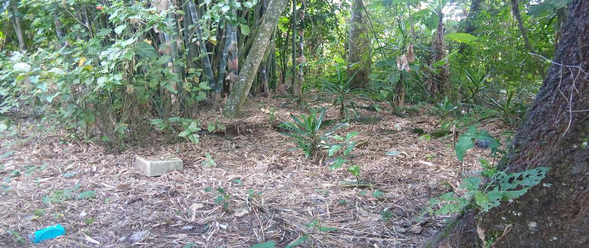 Foto de terreno habitacional en , laguna de miradores, emiliano zapata, veracruz de ignacio de la llave, 21717676 foto 02 Foto de terreno habitacional en venta en , laguna de miradores, emiliano zapata, veracruz de ignacio de la llave, 21717676 No. 02