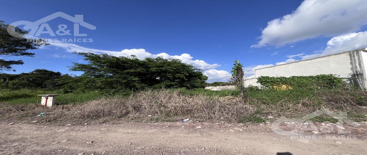 Foto de terreno habitacional en venta en  , laguna de miradores, emiliano zapata, veracruz de ignacio de la llave, 28734956 No. 05