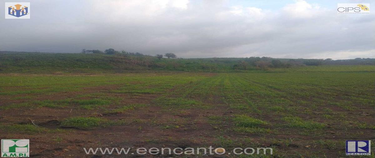 Foto de terreno habitacional en venta en laguna de mora 1, puerta de la laguna, tepic, nayarit, 0 No. 01