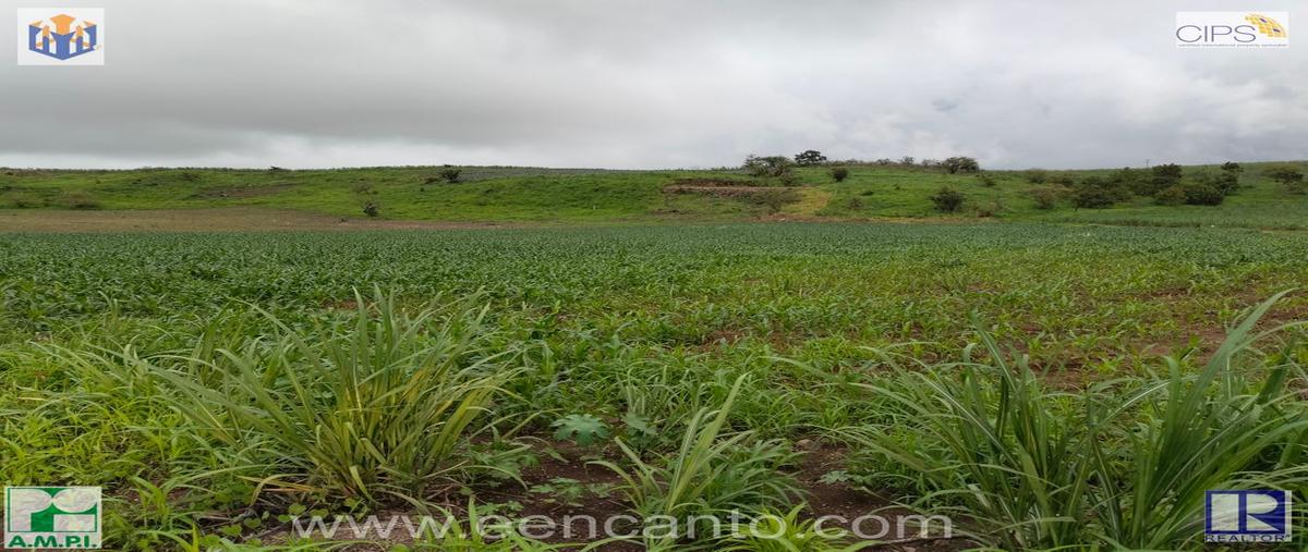 Foto de terreno habitacional en venta en laguna de mora 1, puerta de la laguna, tepic, nayarit, 0 No. 02