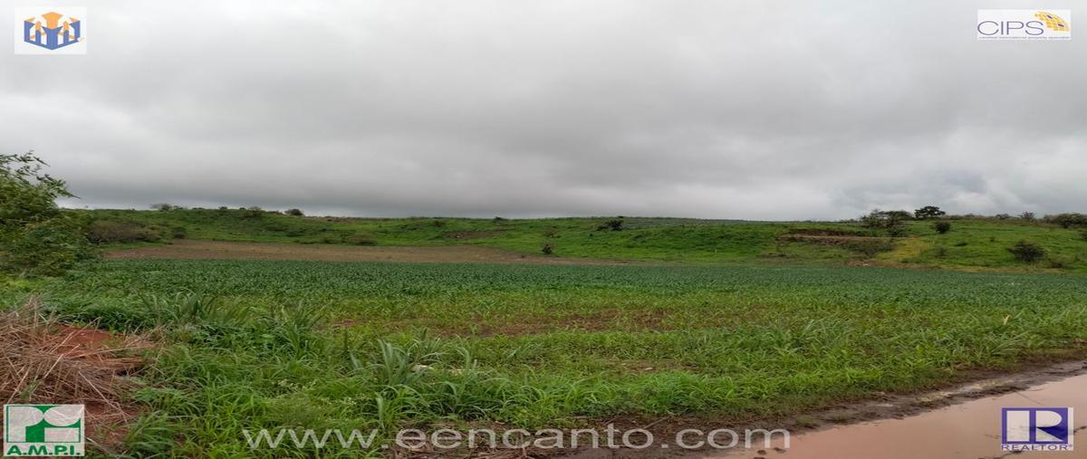 Foto de terreno habitacional en venta en laguna de mora 1, puerta de la laguna, tepic, nayarit, 0 No. 03