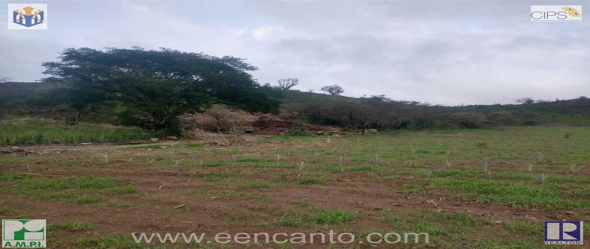Foto de terreno habitacional en venta en laguna de mora 1, puerta de la laguna, tepic, nayarit, 0 No. 04