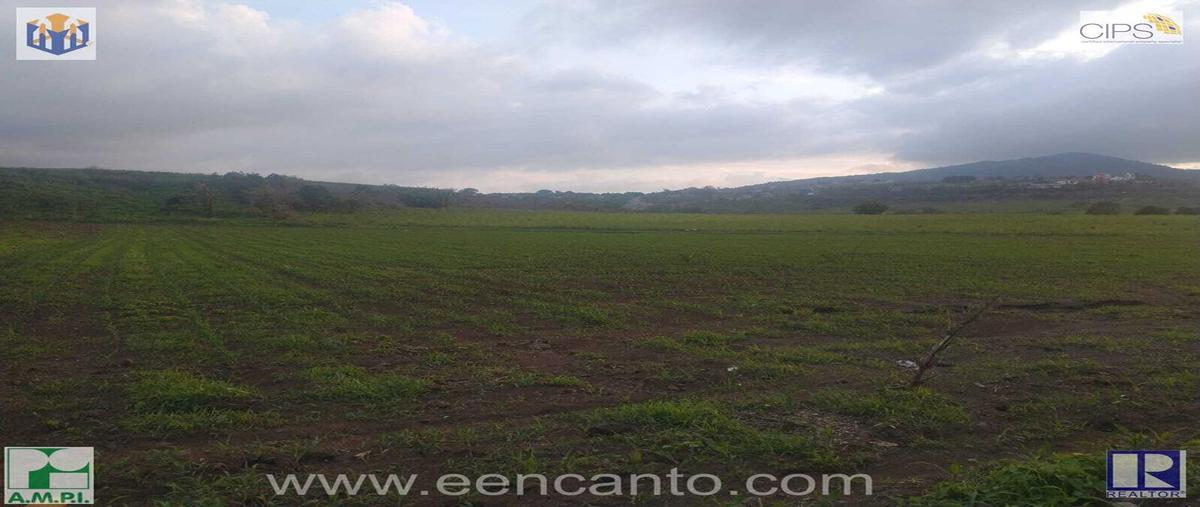 Foto de terreno habitacional en venta en laguna de mora 1, puerta de la laguna, tepic, nayarit, 0 No. 05