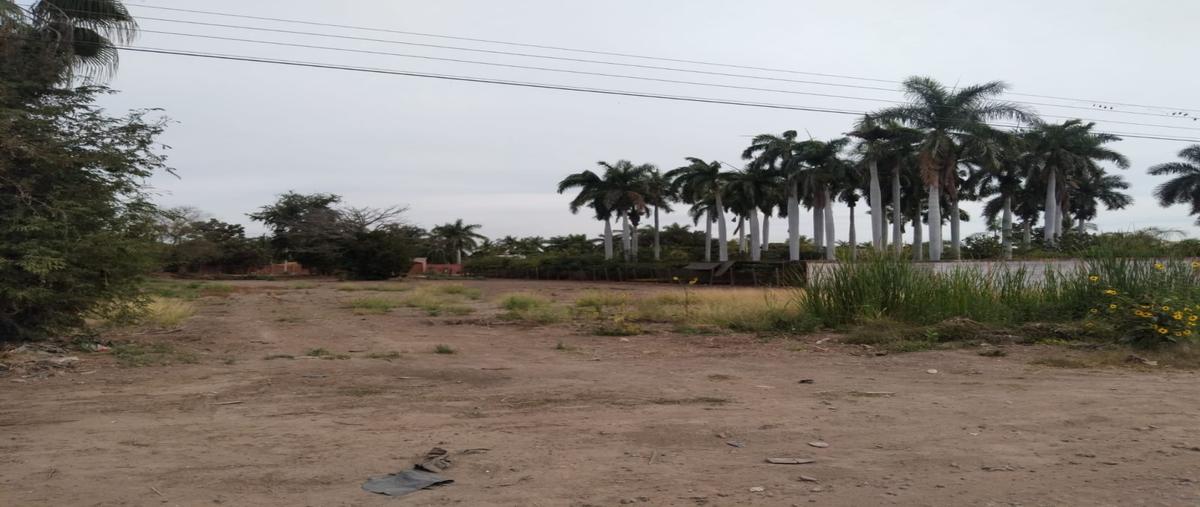 Foto de terreno habitacional en , laguna de san pedro, navolato, sinaloa, 28023150 foto 02 Foto de terreno habitacional en venta en , laguna de san pedro, navolato, sinaloa, 28023150 No. 02