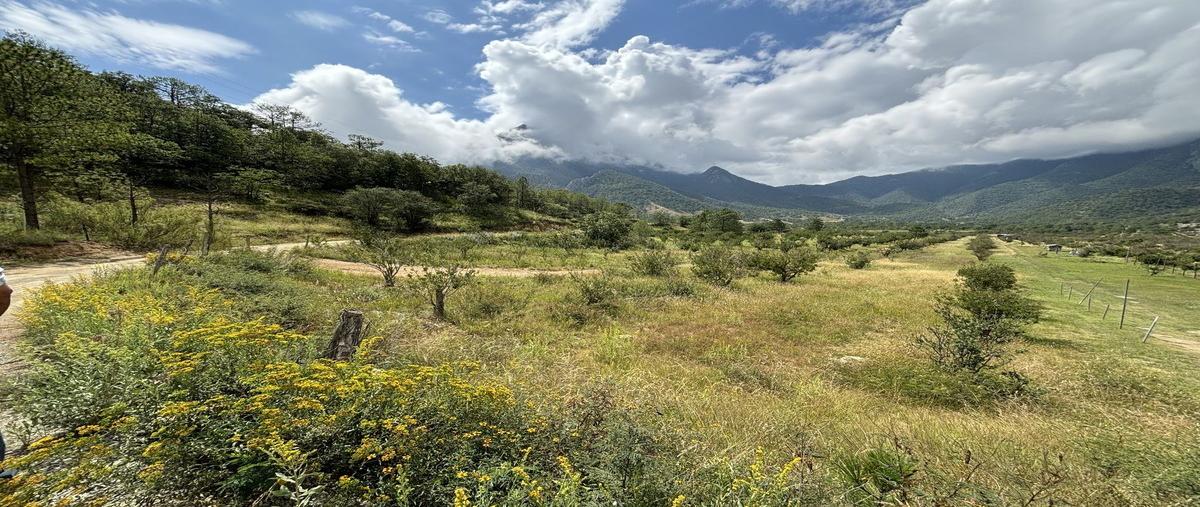 Foto de terreno habitacional en venta en  , laguna de sanchez, santiago, nuevo león, 0 No. 04
