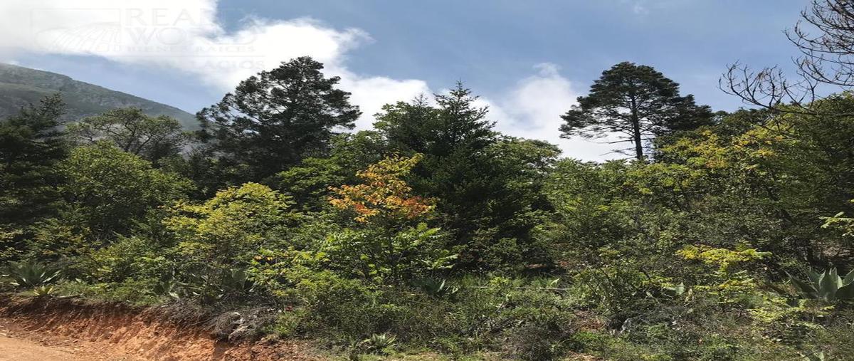 Foto de casa en venta en  , laguna de sanchez, santiago, nuevo león, 0 No. 03
