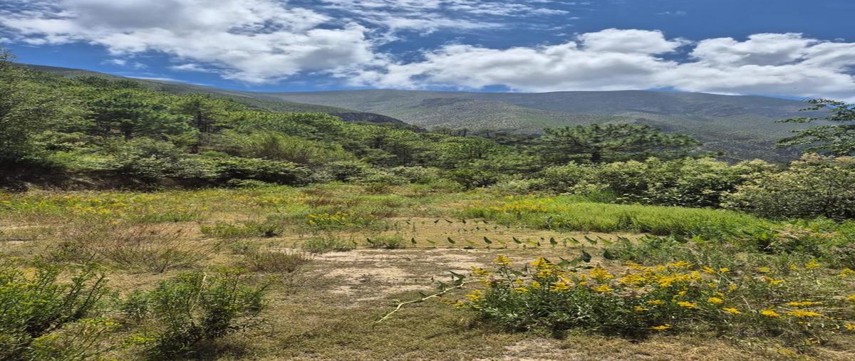 Foto de terreno habitacional en venta en  , laguna de sanchez, santiago, nuevo león, 0 No. 03