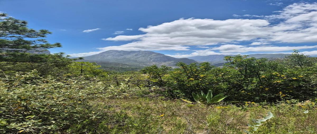 Foto de terreno habitacional en venta en  , laguna de sanchez, santiago, nuevo león, 0 No. 04