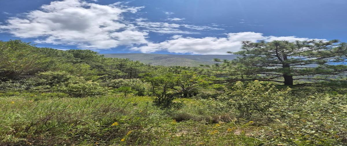 Foto de terreno habitacional en venta en  , laguna de sanchez, santiago, nuevo león, 0 No. 05