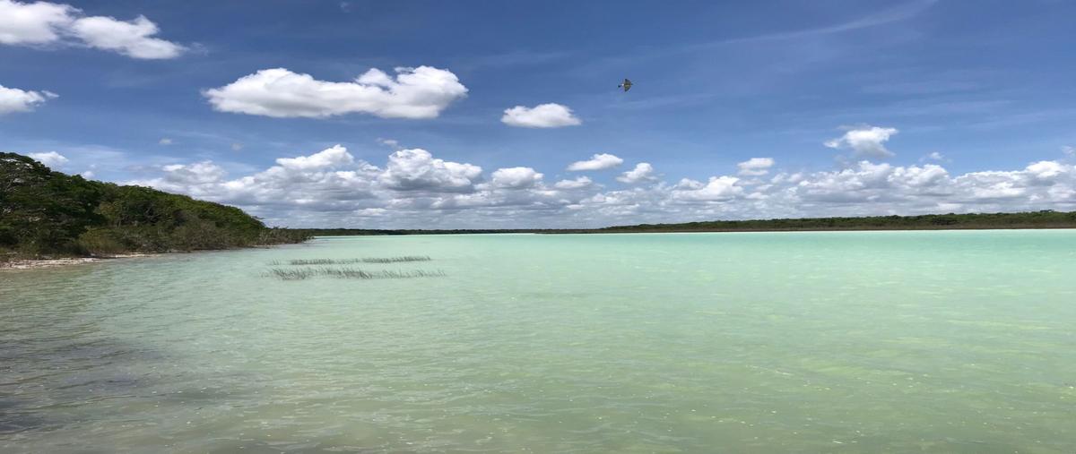 Foto de terreno habitacional en venta en  , laguna guerrero, othón p. blanco, quintana roo, 28303514 No. 03