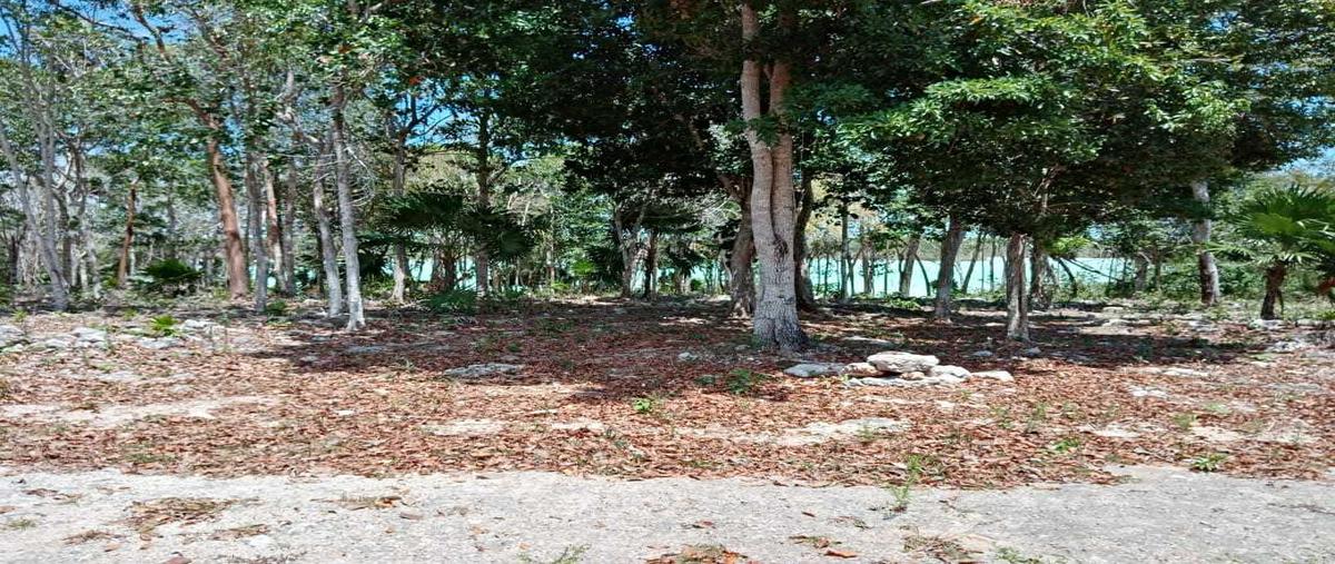 Foto de terreno habitacional en venta en  , laguna guerrero, othón p. blanco, quintana roo, 28303514 No. 05
