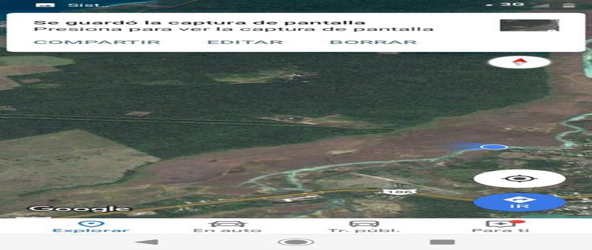 Foto de terreno habitacional en venta en  , laguna guerrero, othón p. blanco, quintana roo, 30299130 No. 03