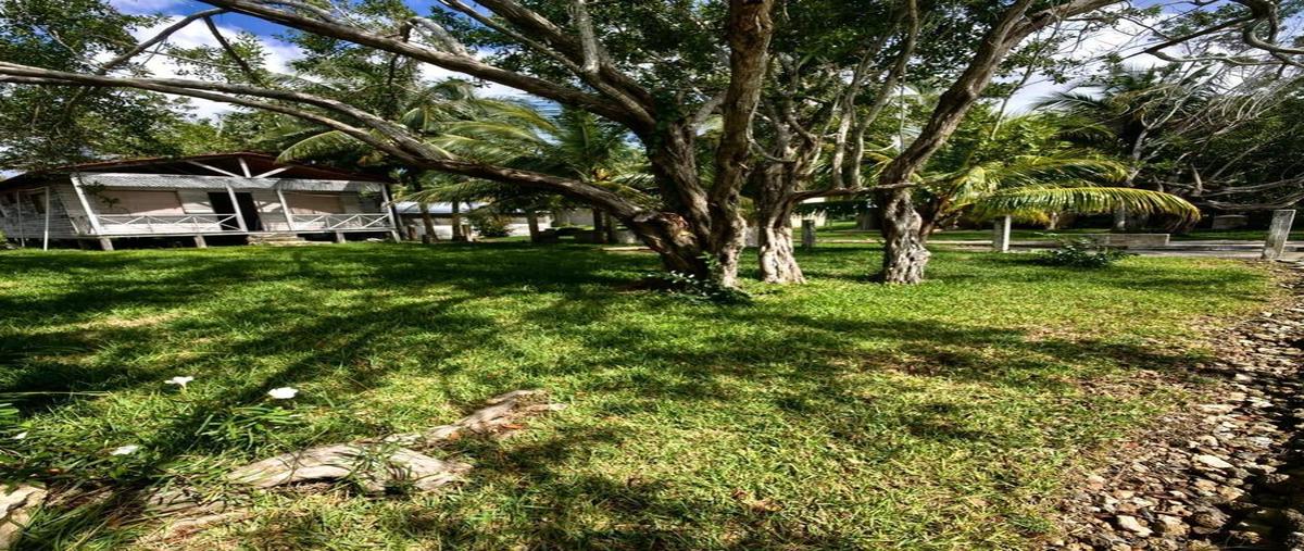 Foto de terreno habitacional en venta en  , laguna guerrero, othón p. blanco, quintana roo, 30889657 No. 03