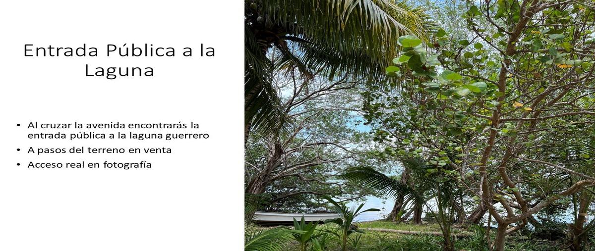 Foto de terreno habitacional en , laguna guerrero, othón p. blanco, quintana roo, 0 foto 02 Foto de terreno habitacional en venta en , laguna guerrero, othón p. blanco, quintana roo, 0 No. 02