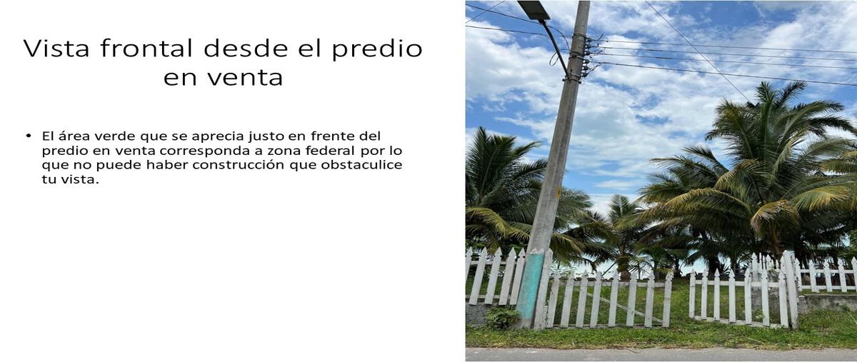 Foto de terreno habitacional en , laguna guerrero, othón p. blanco, quintana roo, 0 foto 05 Foto de terreno habitacional en venta en , laguna guerrero, othón p. blanco, quintana roo, 0 No. 05