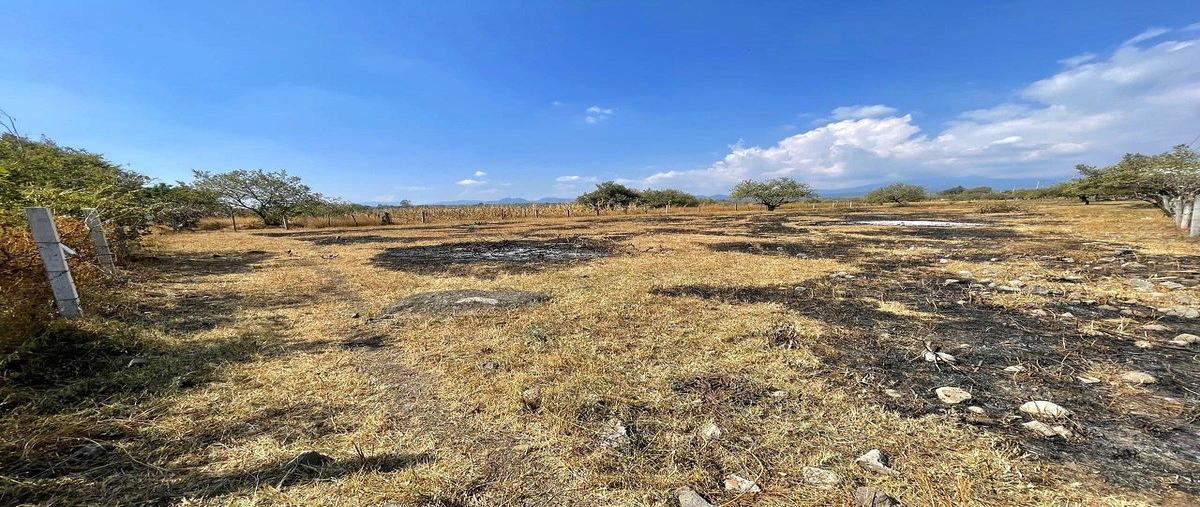 Foto de terreno habitacional en venta en  , lagunilla del salto, cuernavaca, morelos, 0 No. 03