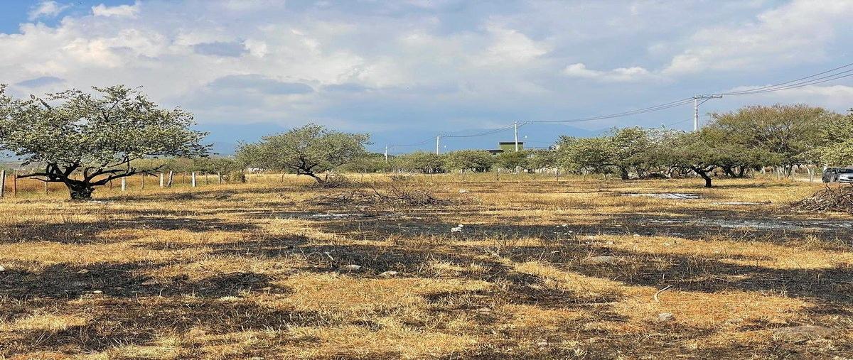 Foto de terreno habitacional en venta en  , lagunilla del salto, cuernavaca, morelos, 0 No. 04