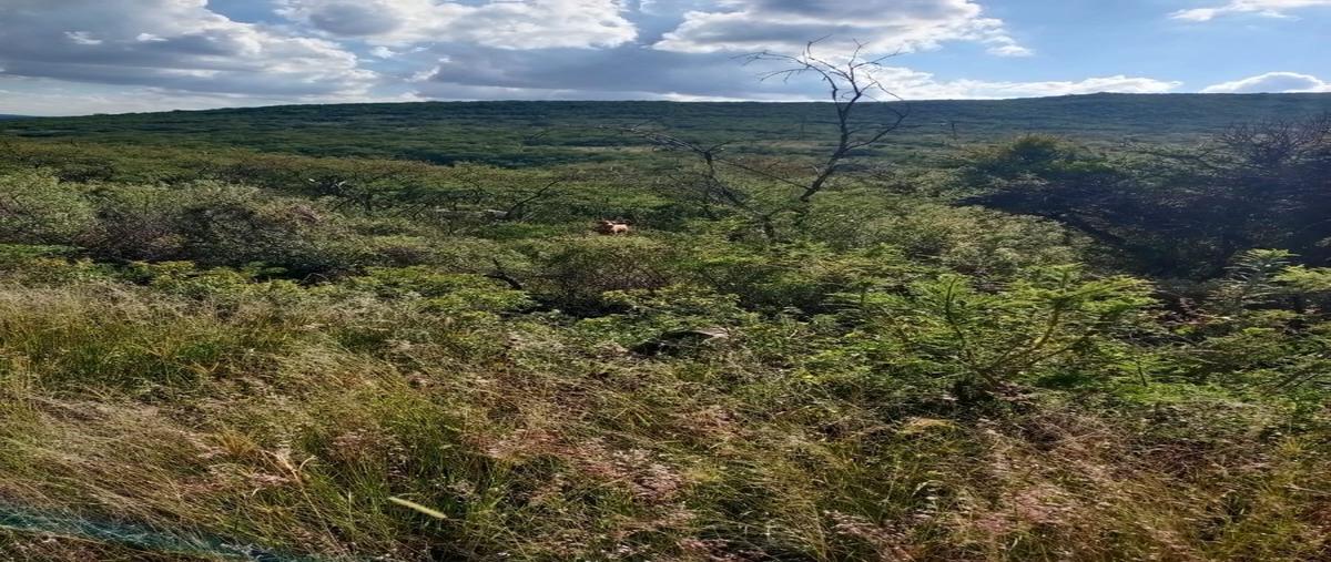 Foto de terreno habitacional en venta en lagunilla , lagunilla, san miguel de allende, guanajuato, 0 No. 04