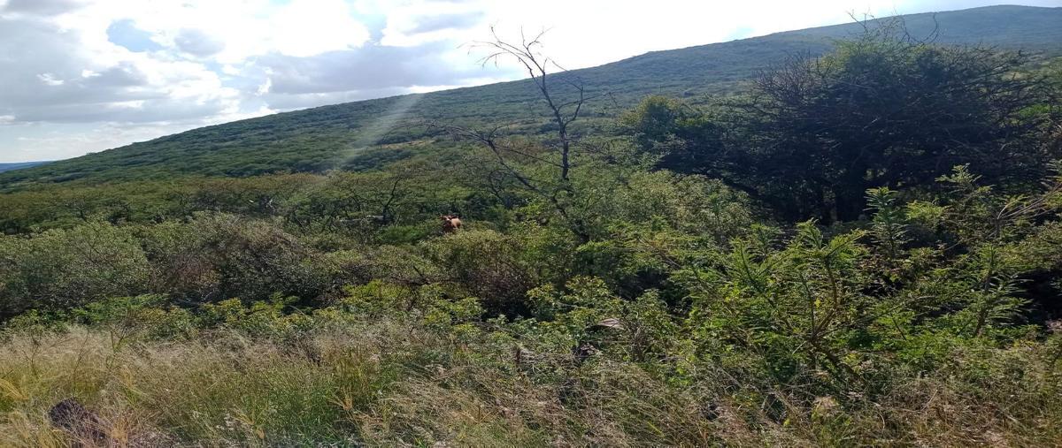 Foto de terreno habitacional en venta en  , lagunilla, san miguel de allende, guanajuato, 0 No. 03