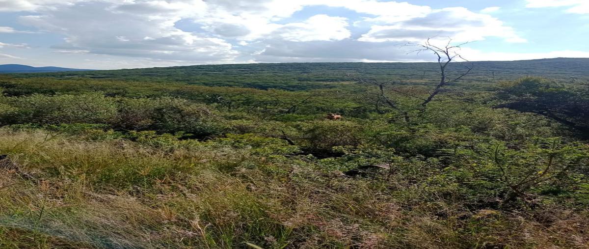 Foto de terreno habitacional en venta en  , lagunilla, san miguel de allende, guanajuato, 0 No. 05