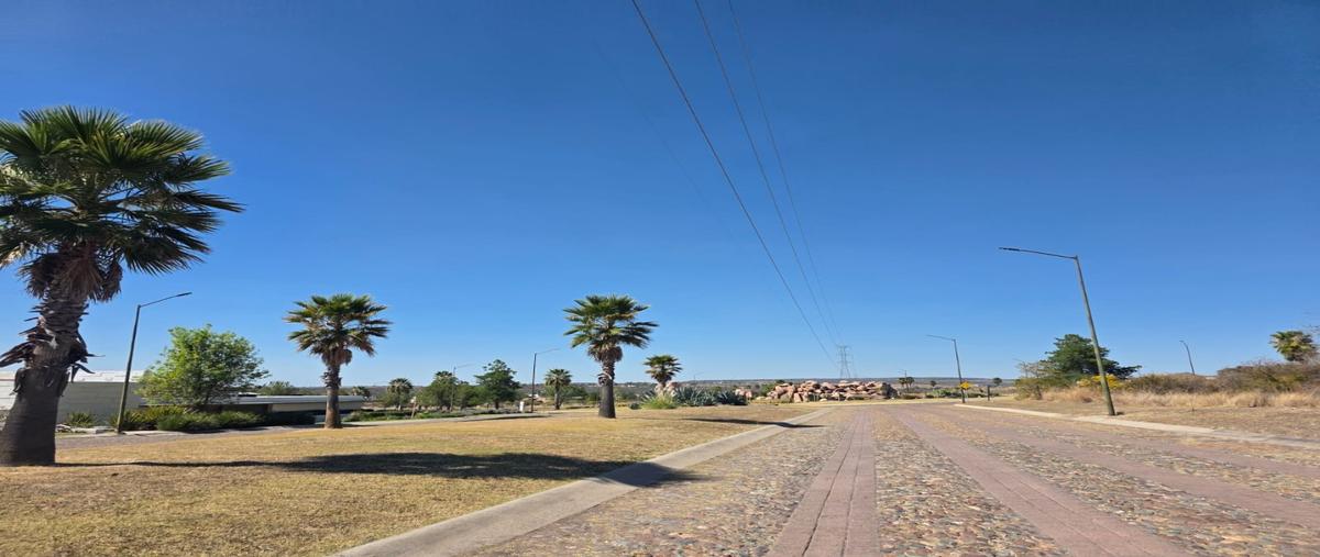 Foto de terreno habitacional en venta en  , lagunillas, lagos de moreno, jalisco, 0 No. 03