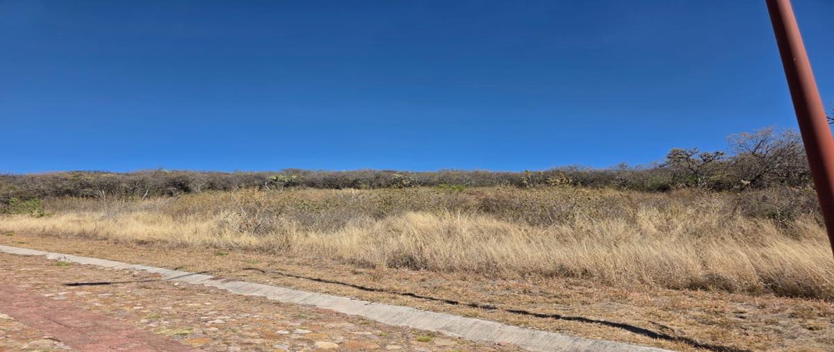 Foto de terreno habitacional en venta en  , lagunillas, lagos de moreno, jalisco, 0 No. 05