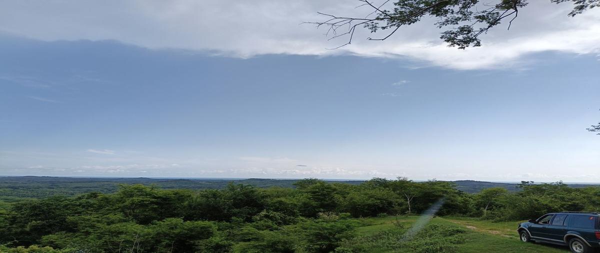 Foto de terreno habitacional en venta en lagunillas , san marcos, san marcos, guerrero, 28299248 No. 04