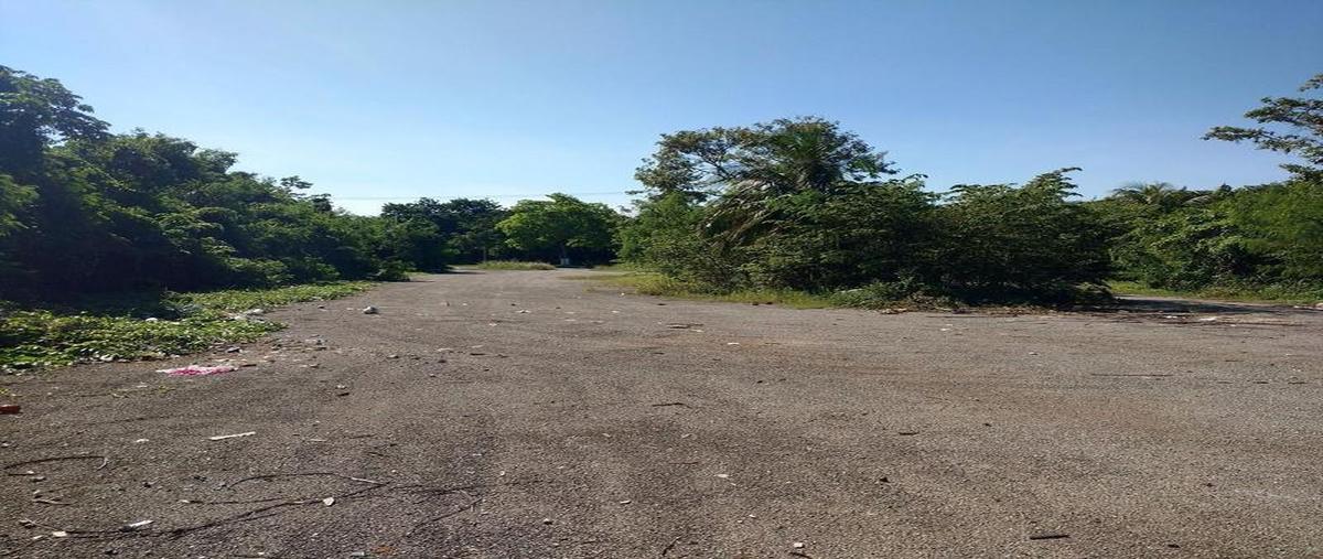 Foto de terreno habitacional en venta en  , lagunitas, othón p. blanco, quintana roo, 0 No. 04