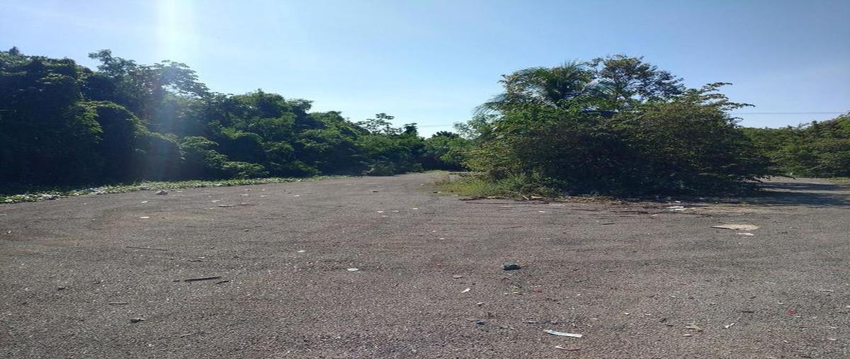 Foto de terreno habitacional en venta en  , lagunitas, othón p. blanco, quintana roo, 0 No. 05