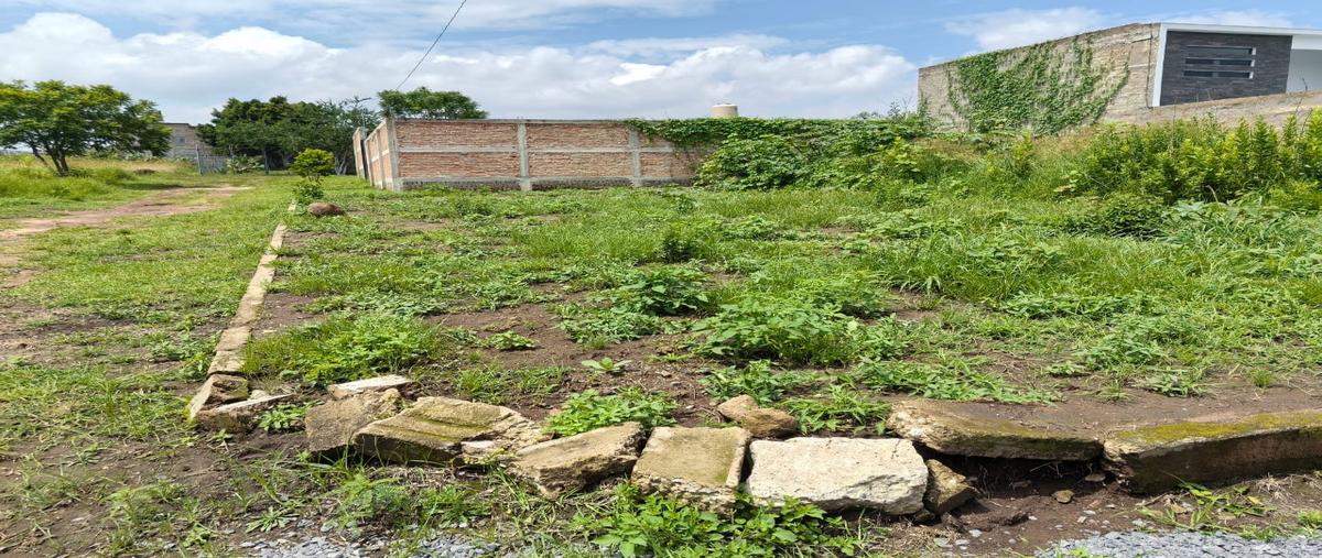 Foto de terreno habitacional en venta en  , lagunitas tonallan, tonalá, jalisco, 0 No. 03