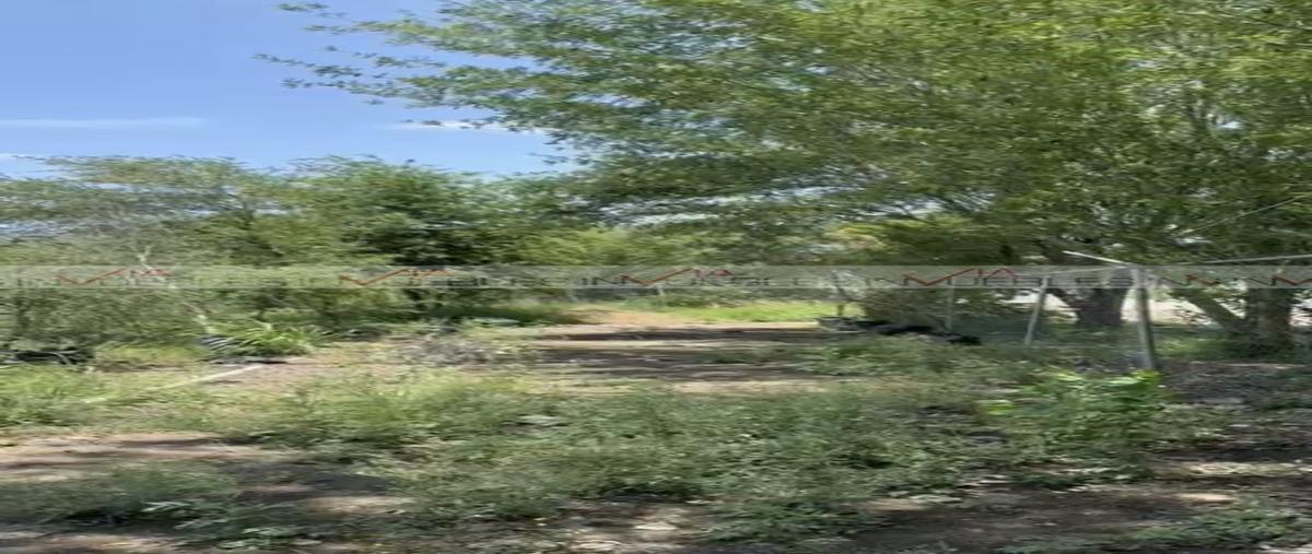 Foto de terreno habitacional en venta en  , lajitas de arriba, cadereyta jiménez, nuevo león, 30109889 No. 04