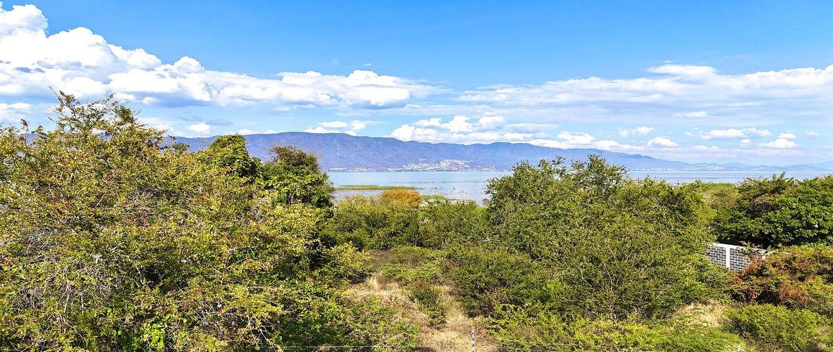 Foto de terreno habitacional en venta en lake shore el sauz , san cristóbal zapotitlán, jocotepec, jalisco, 0 No. 03
