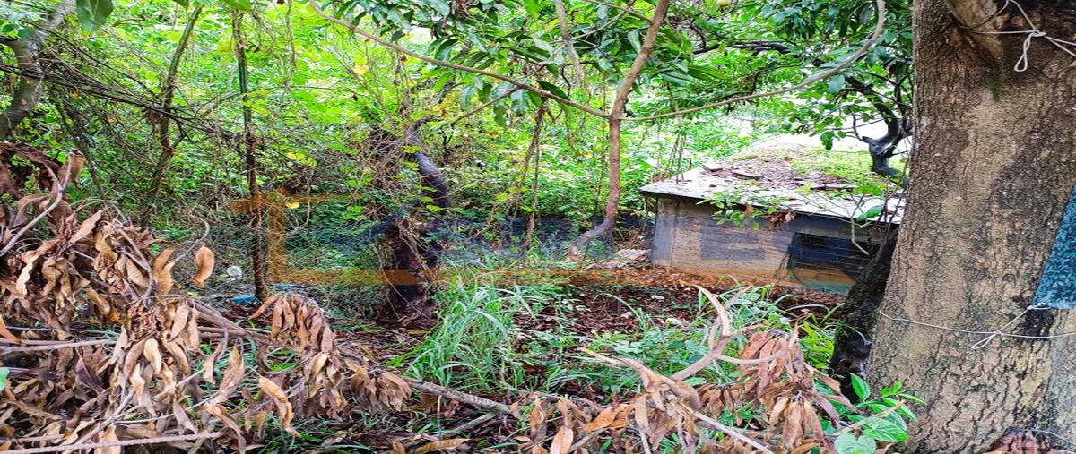 Foto de casa en venta en  , laredo, poza rica de hidalgo, veracruz de ignacio de la llave, 0 No. 04