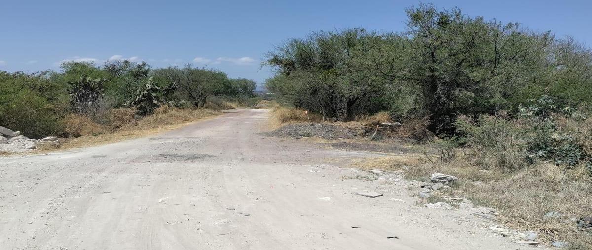 Foto de terreno habitacional en venta en  , las adjuntas, apaseo el grande, guanajuato, 28684026 No. 03