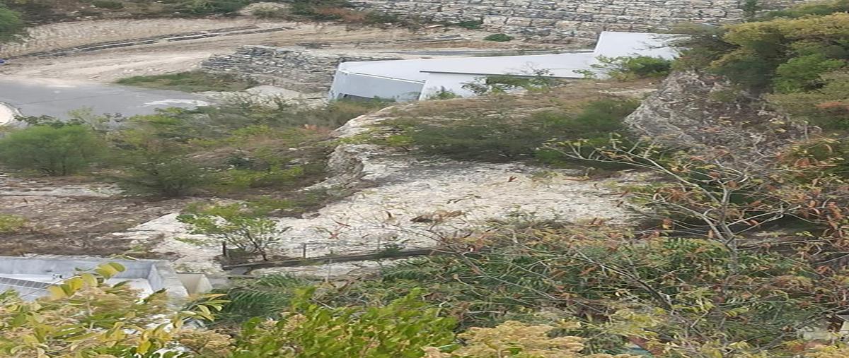 Foto de terreno habitacional en venta en  , las águilas, guadalupe, nuevo león, 0 No. 03