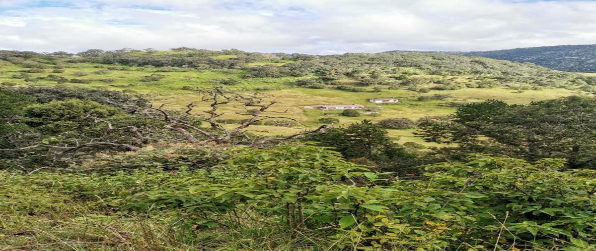 Foto de terreno habitacional en venta en  , las aguilillas, zaragoza, san luis potosí, 0 No. 03