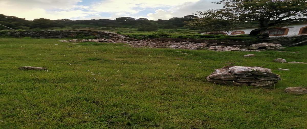 Foto de terreno habitacional en venta en  , las aguilillas, zaragoza, san luis potosí, 0 No. 04