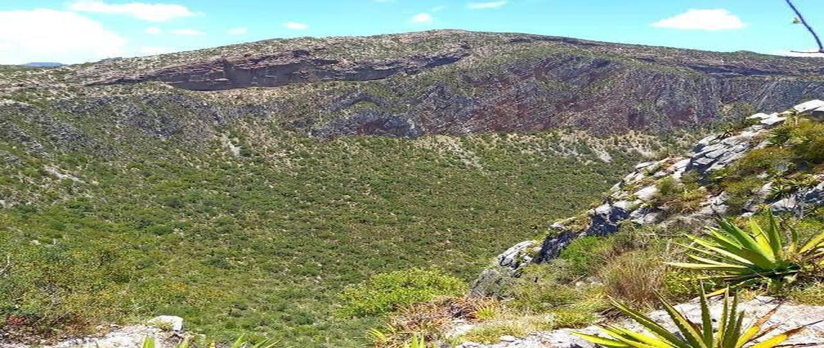 Foto de terreno habitacional en venta en  , las aguilillas, zaragoza, san luis potosí, 0 No. 05