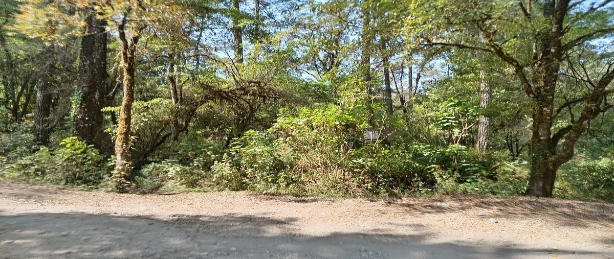 Foto de terreno habitacional en venta en las agujas , avándaro, valle de bravo, méxico, 0 No. 04