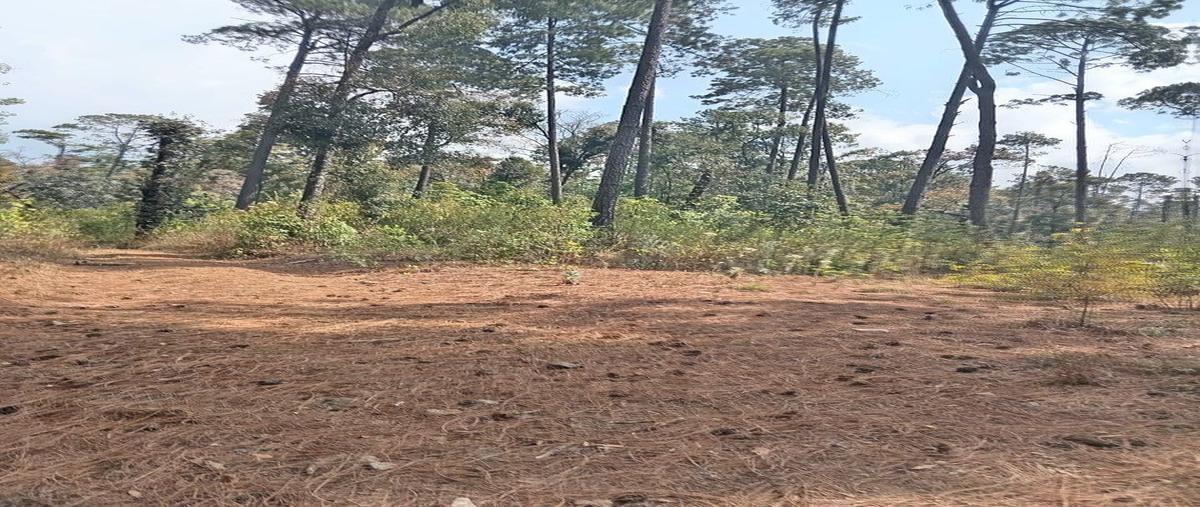 Foto de terreno habitacional en venta en las agujas , avándaro, valle de bravo, méxico, 0 No. 05