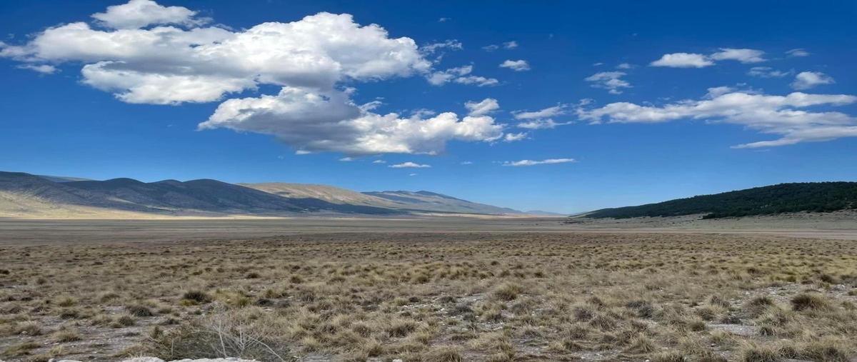 Foto de terreno habitacional en venta en las alazanas , arteaga centro, arteaga, coahuila de zaragoza, 26214057 No. 03