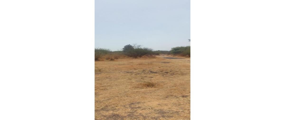 Foto de terreno habitacional en , las amapas, tlajomulco de zúñiga, jalisco, 0 foto 02 Foto de terreno habitacional en venta en , las amapas, tlajomulco de zúñiga, jalisco, 0 No. 02