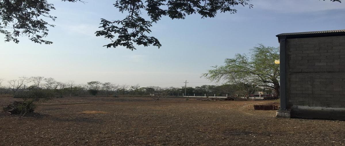 Foto de terreno habitacional en renta en  , las américas, altamira, tamaulipas, 28117155 No. 04