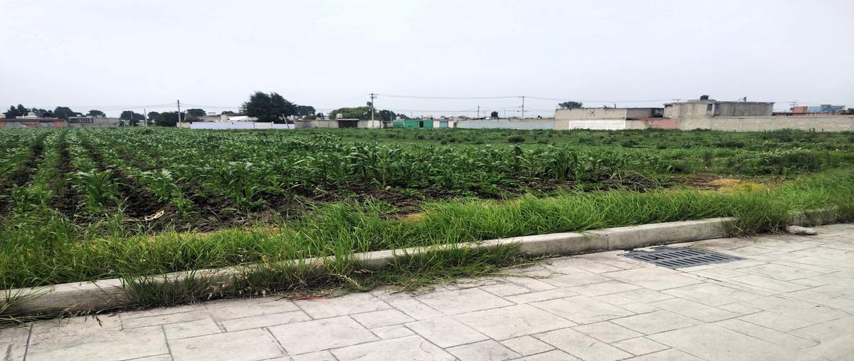 Foto de terreno habitacional en venta en  , las américas, chapultepec, méxico, 0 No. 03