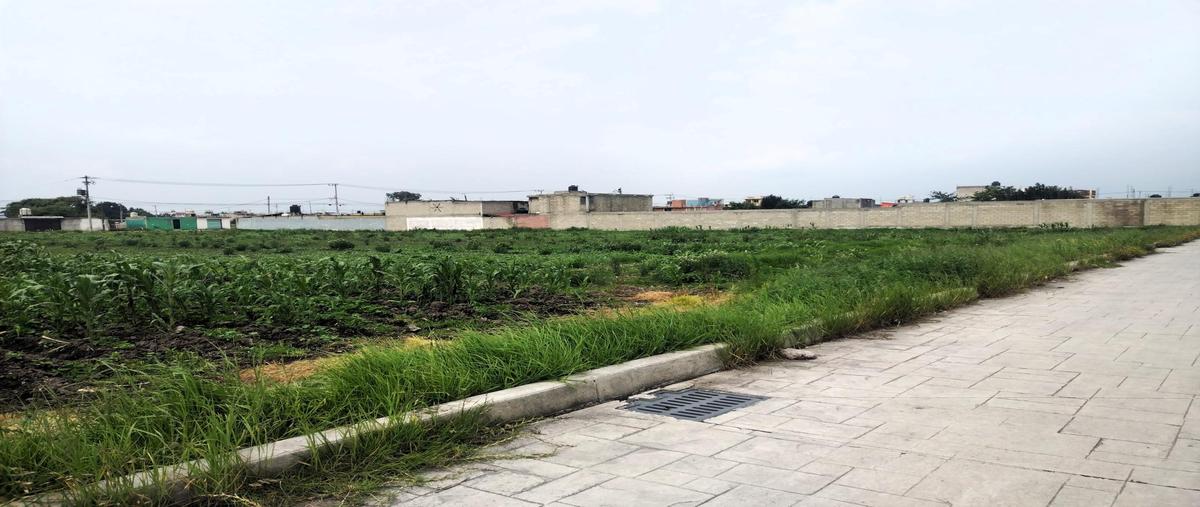 Foto de terreno habitacional en venta en  , las américas, chapultepec, méxico, 0 No. 05