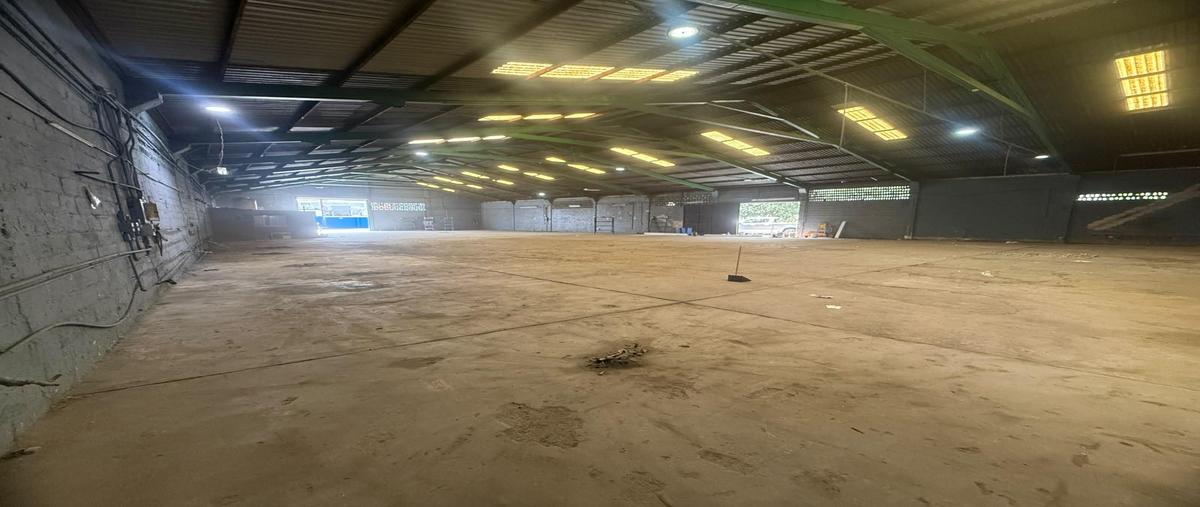 Foto de bodega en renta en  , las américas, guadalupe, nuevo león, 0 No. 05