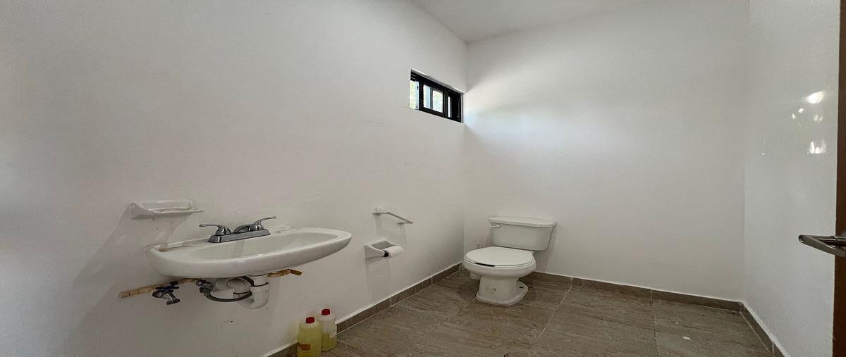 Foto de local en renta en  , las américas, mérida, yucatán, 30542265 No. 05