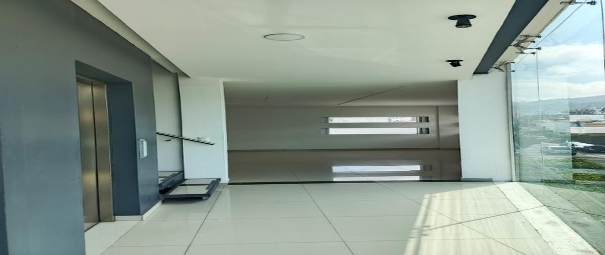 Foto de edificio en renta en  , las américas, morelia, michoacán de ocampo, 0 No. 04
