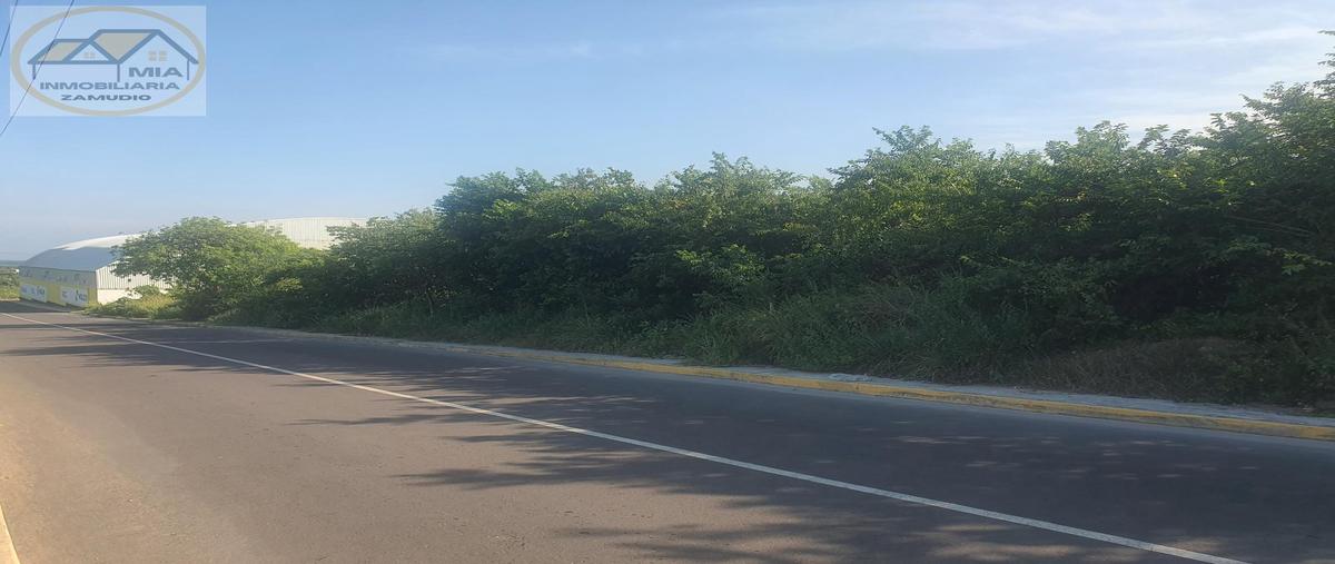 Foto de terreno habitacional en venta en  , las aneas, alvarado, veracruz de ignacio de la llave, 0 No. 04