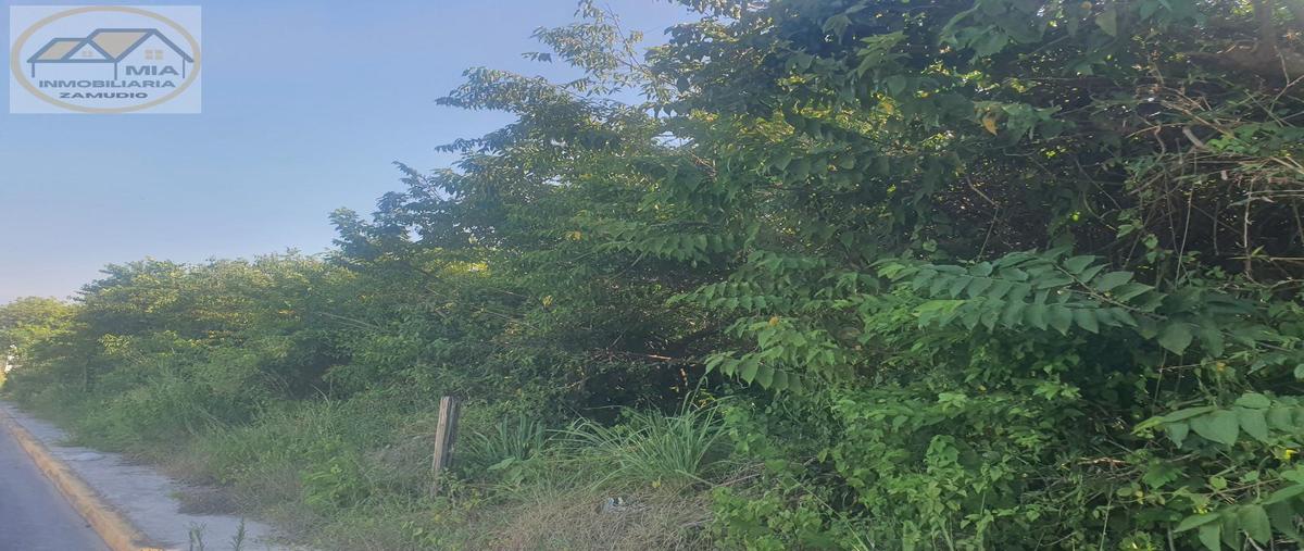 Foto de terreno habitacional en venta en  , las aneas, alvarado, veracruz de ignacio de la llave, 0 No. 05